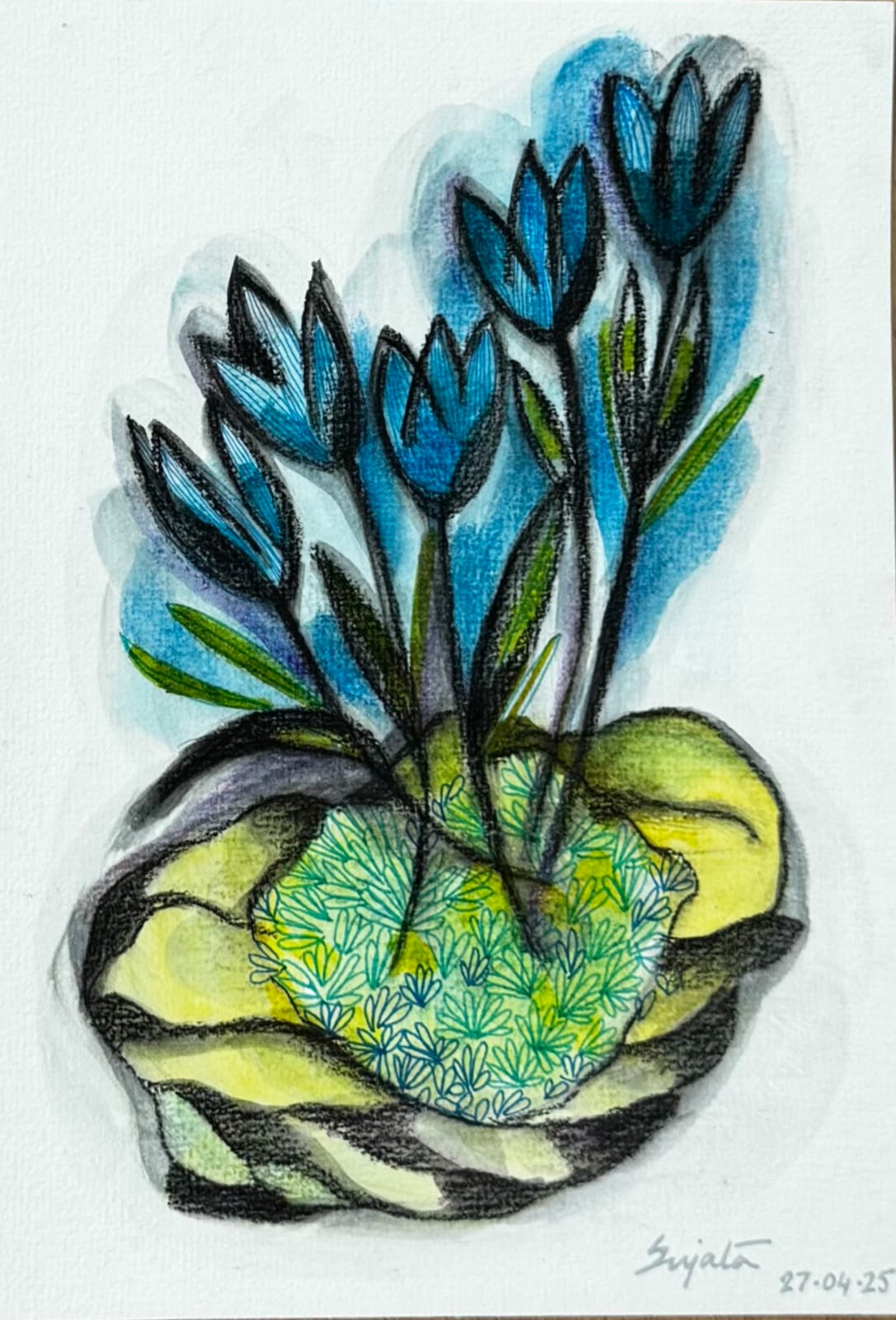 Blue Tulip