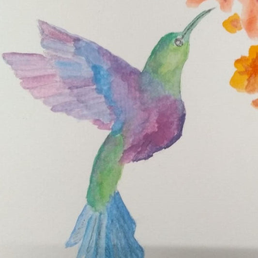 Hummingbird