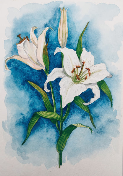 Lilies Pure