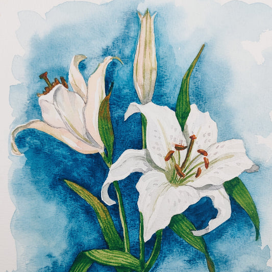 Lilies Pure